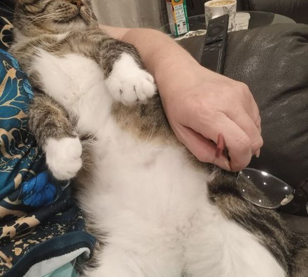 Ollie