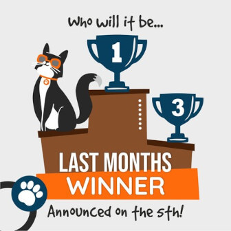 Last month's winner